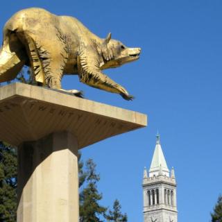 UCバークレーはどんな大学？「パブリック・アイビー」の一つして知られる名門大学の魅力を解説