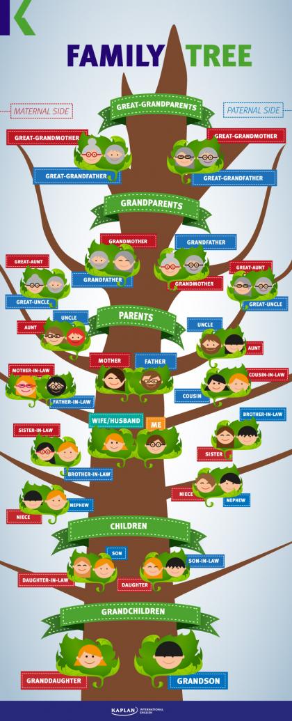 شجرة العائلة بالانجليزية إنفوجرافيك Family Tree Kaplan Blog