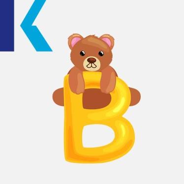 B- Bear