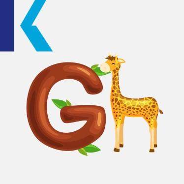 G - Giraffe