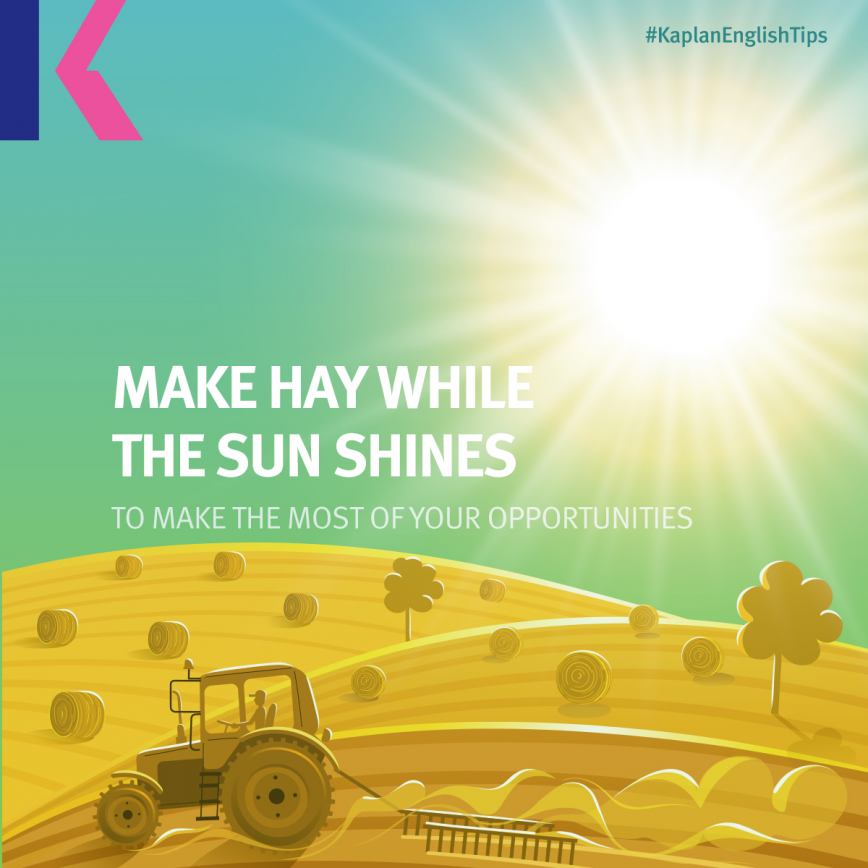 مصطلحات إنجليزية من الصيف - اصنع التين بينما الشمس مشرقة - Make hay while the sun shines