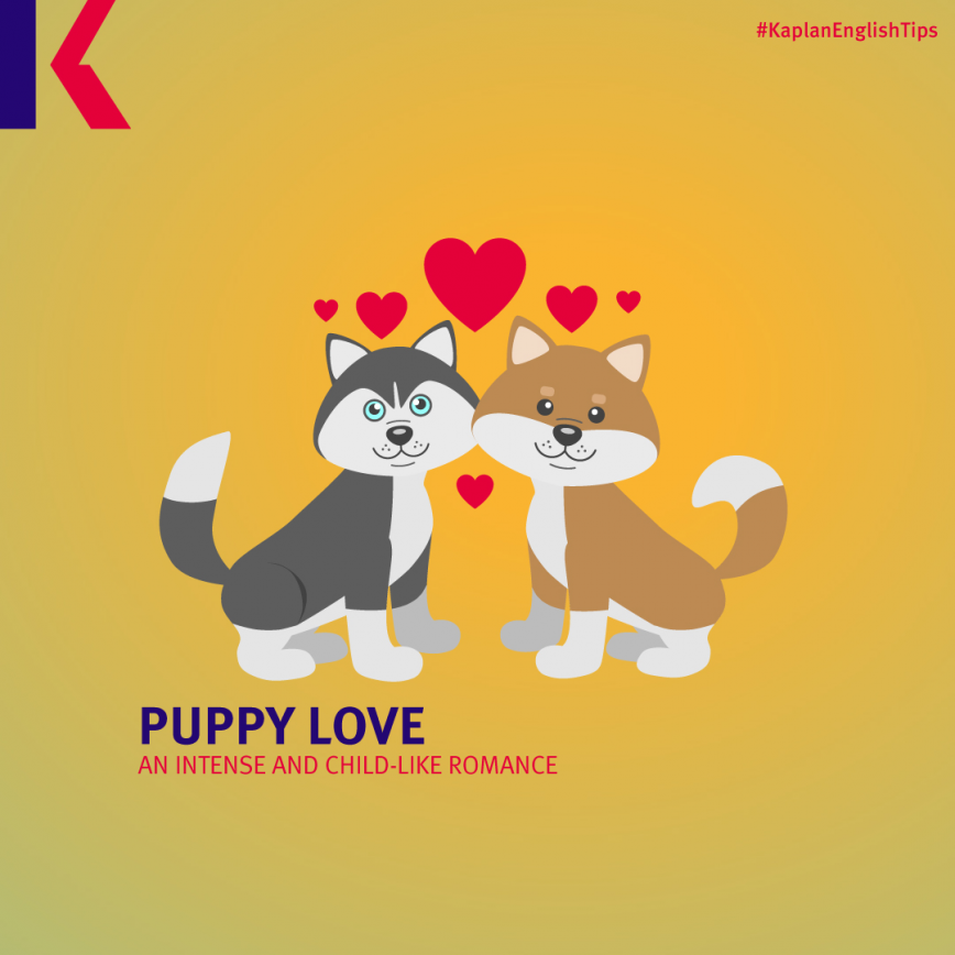 كيف تقول أحبك بالإنجليزي؟ .. مصطلحات و كلام حب بالانجليزي -  puppy love