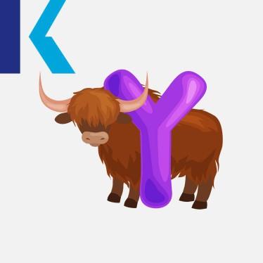 Y - Yak