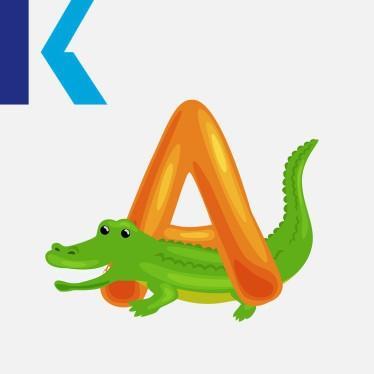 A - Alligator