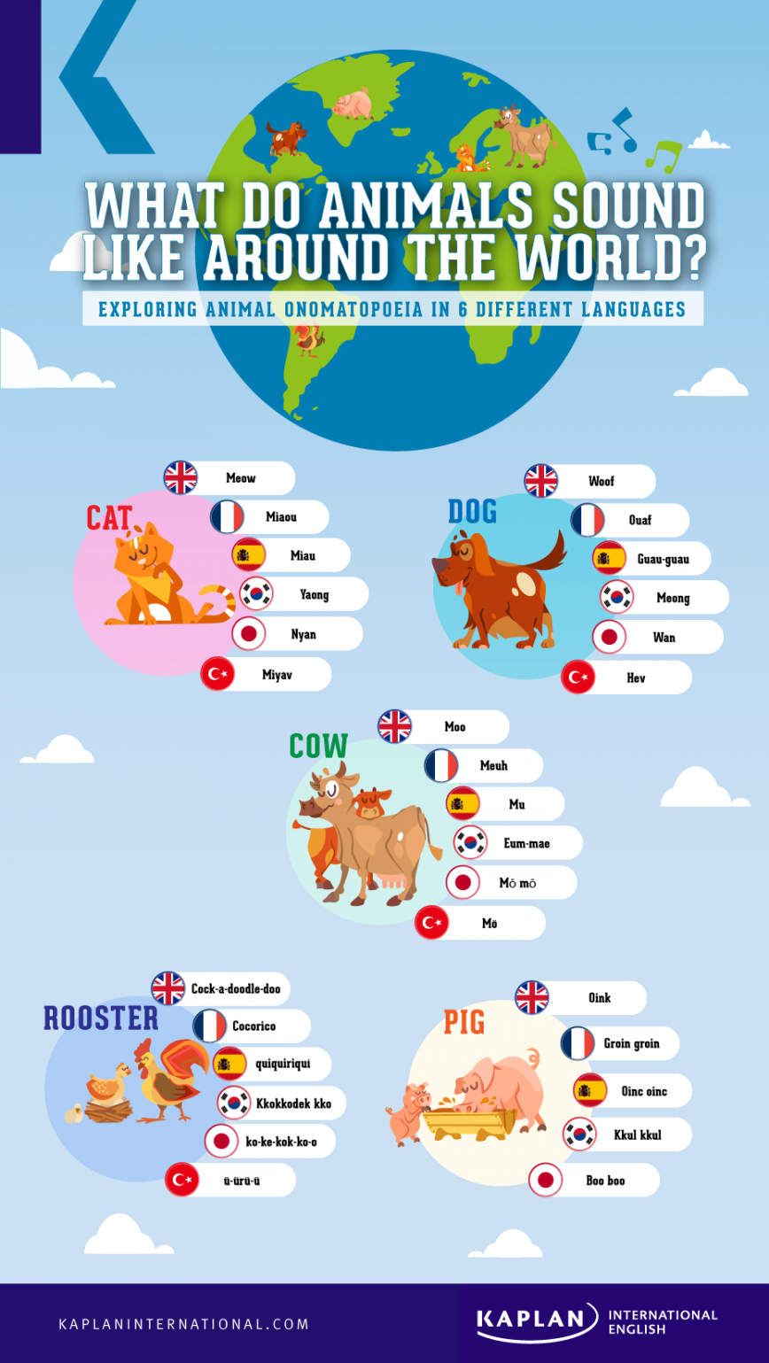 animal noises onomatopoeia infographic