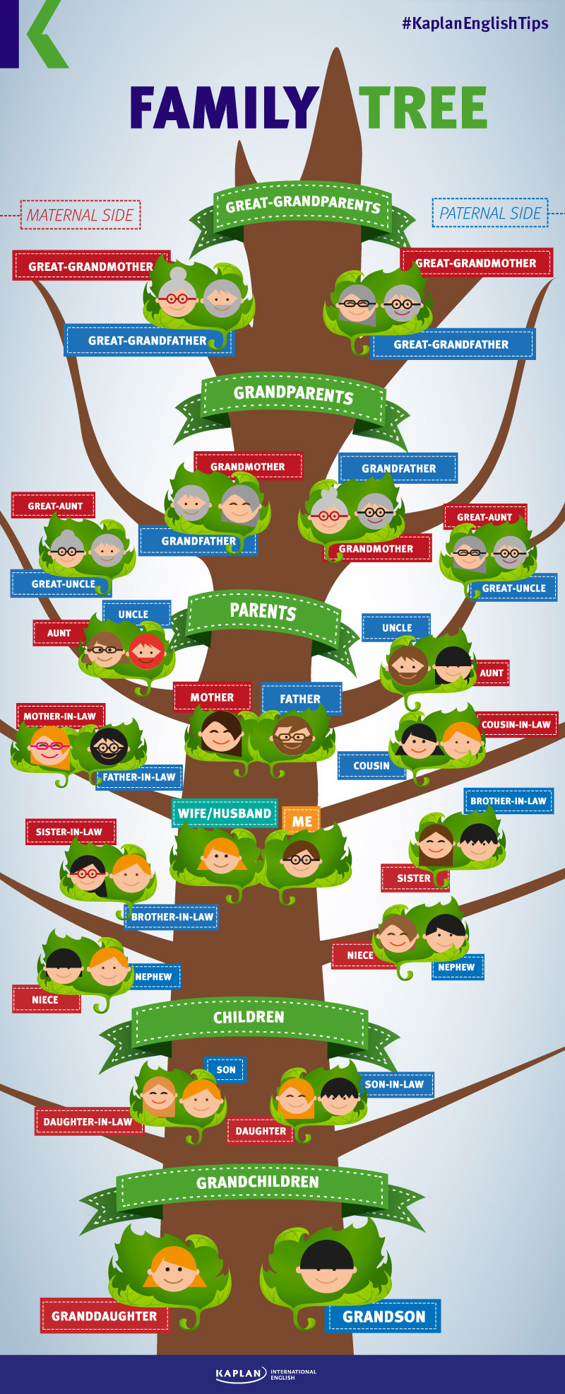 Family Tree