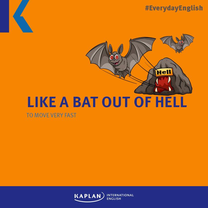 Halloween - Like a bat out of hell