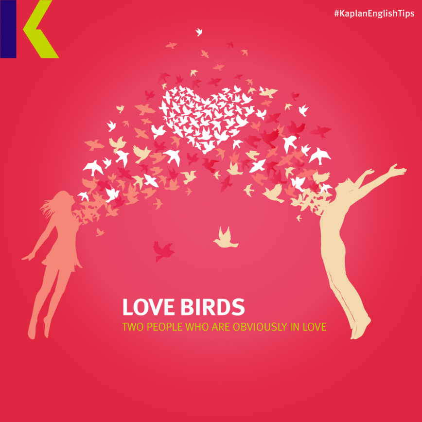 كيف تقول أحبك بالإنجليزي؟ .. مصطلحات و كلام حب بالانجليزي -  love birds
