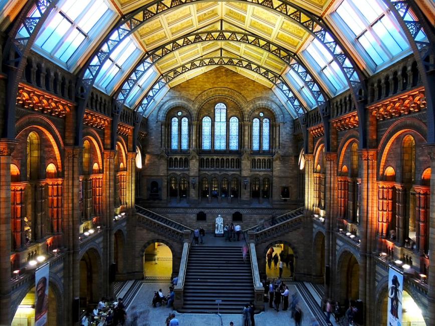 الأماكن السياحية في لندن بالإنجليزي - متحف التاريخ الطبيعي