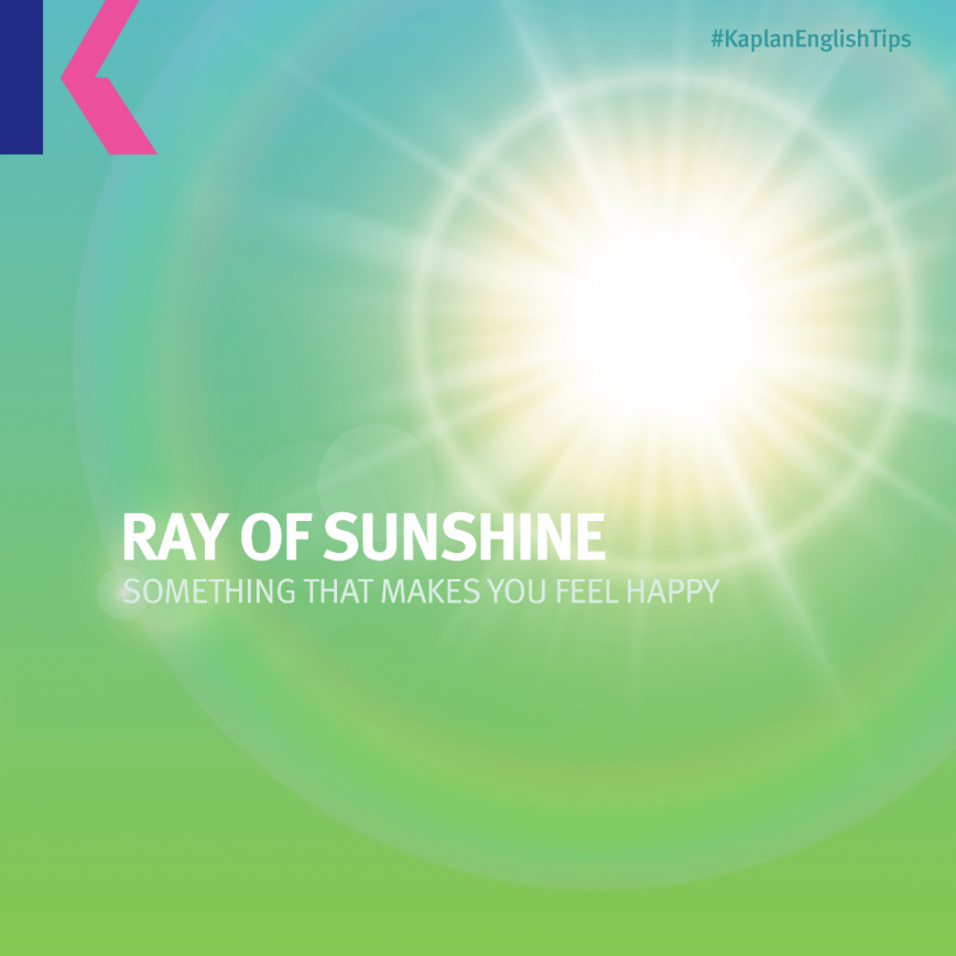 مصطلحات إنجليزية من الصيف - شعاع من نور الشمس - Ray of sunshine