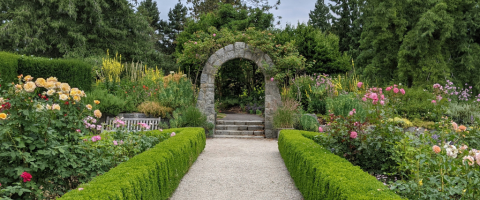VanDusen Botanical Garden