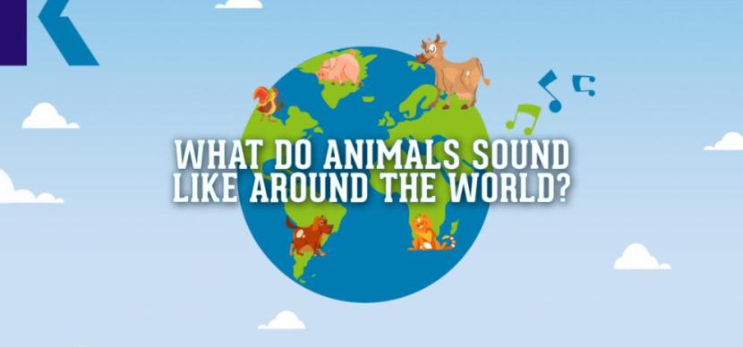 Animals sound