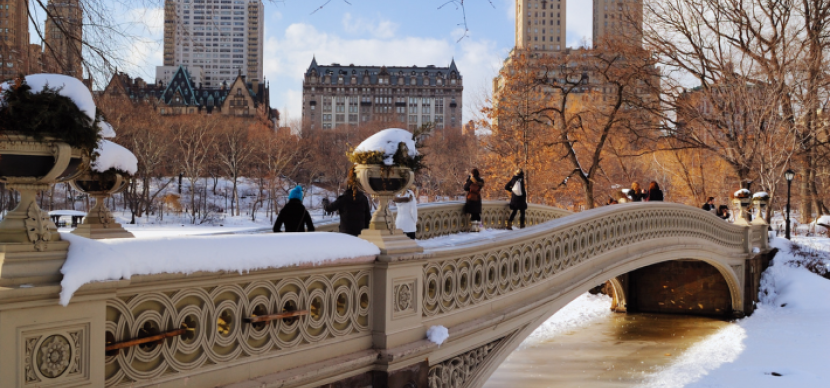 NY Winter
