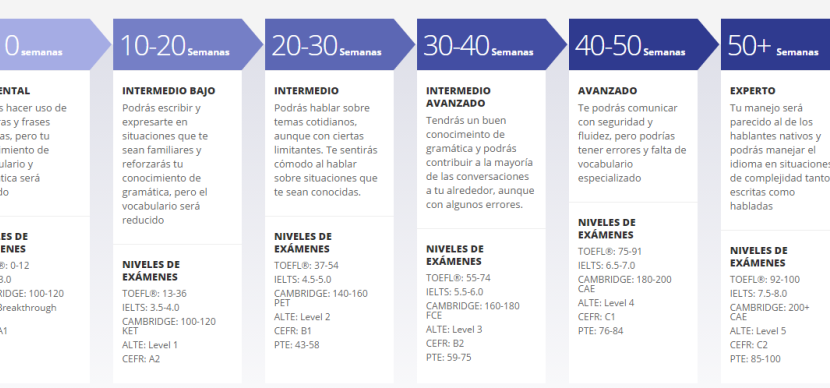 Así son nuestros cursos de inglés Semestre y Año Académico