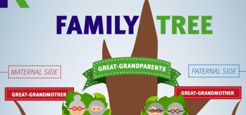 family tree inforgraphic 
