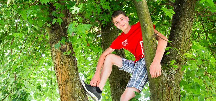 student in a tree