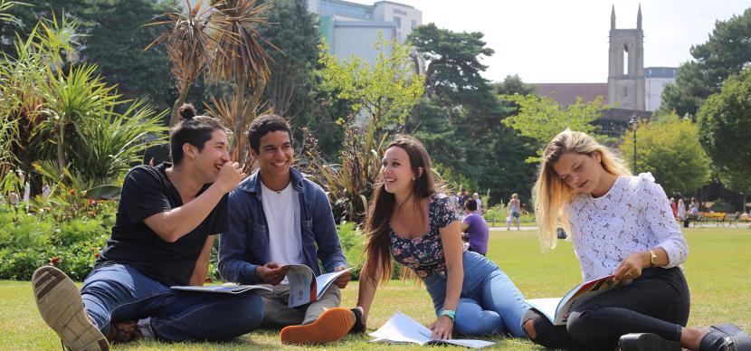 students working in a park