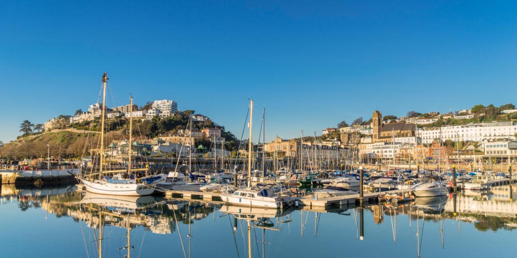 Torquay (Yaz Kampı 12-17), İngiltere — Kaplan Torquay (Yaz Kampı 12-17) kampüsü ve şehir kareleri 2/8