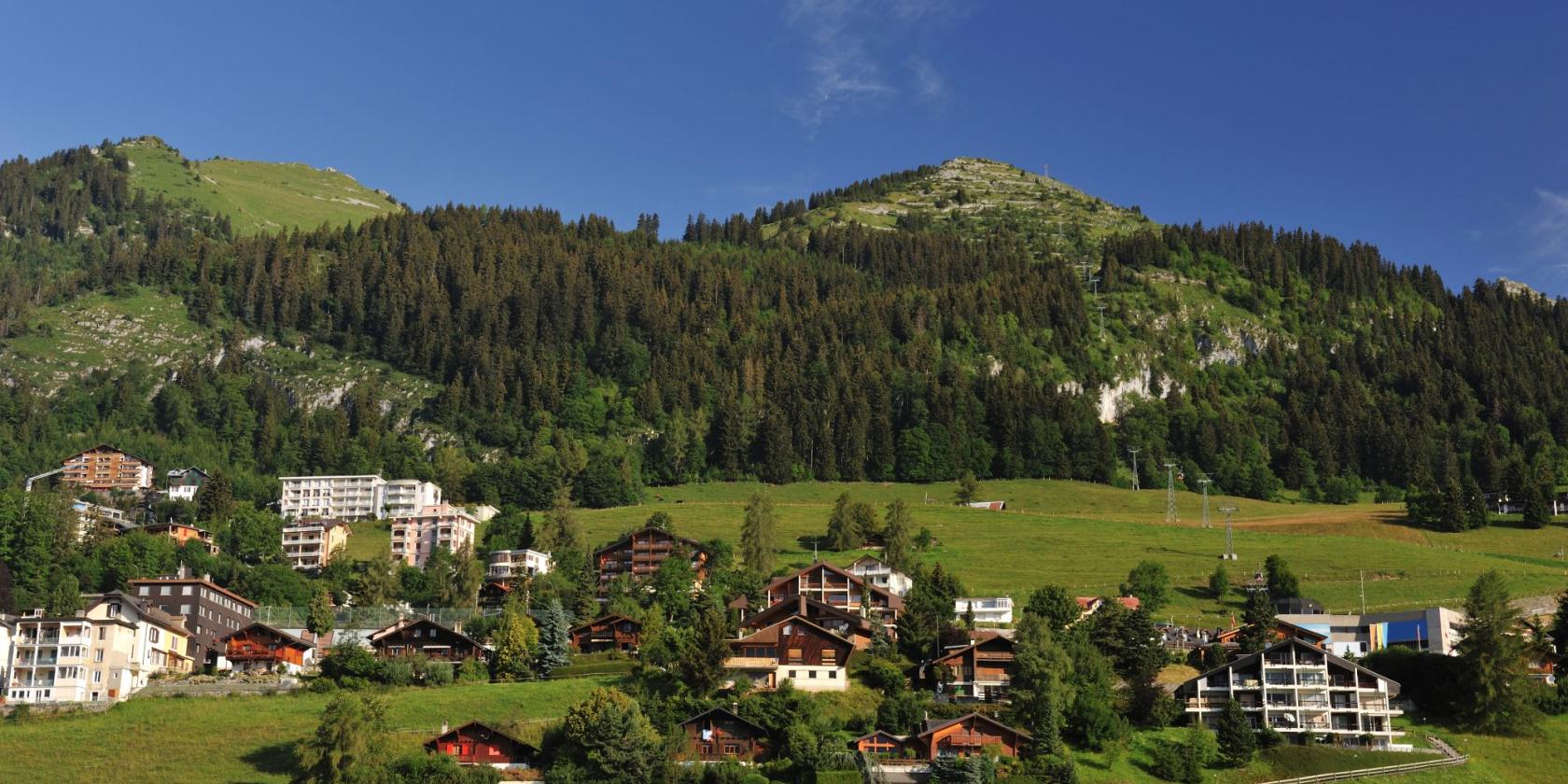 Leysin (Yaz Kampı 10-17), İsviçre — Kaplan Leysin (Yaz Kampı 10-17) kampüsü ve şehir kareleri 2/8
