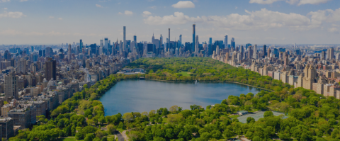 kaplan-fr-new-york-lp-hero