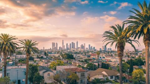 los-angeles-skyline-palm-trees.jpg