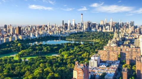 NYC Park