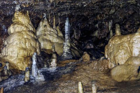 Torquay (Yaz Kampı 12-17), İngiltere — Kaplan Torquay (Yaz Kampı 12-17) kampüsü ve şehir kareleri 3/8