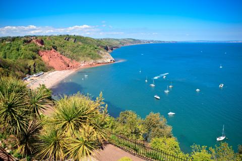 Torquay (Yaz Kampı 12-17), İngiltere — Kaplan Torquay (Yaz Kampı 12-17) kampüsü ve şehir kareleri 4/8