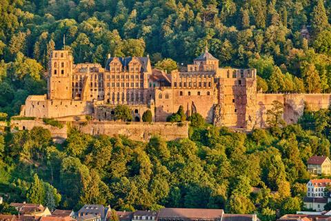 Heidelberg (Yaz Kampı 10-17), Almanya — Kaplan Heidelberg (Yaz Kampı 10-17) kampüsü ve şehir kareleri 5/8