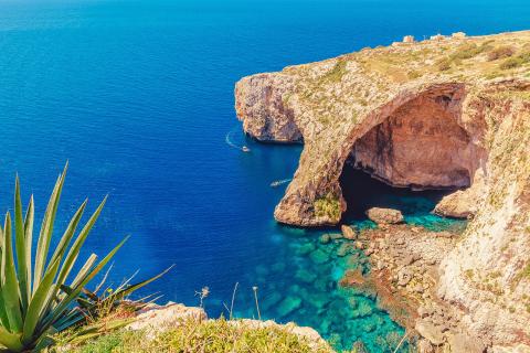 St. Paul's Bay (Yaz Kampı 12-17), Malta — Kaplan St. Paul's Bay (Yaz Kampı 12-17) kampüsü ve şehir kareleri 4/8