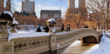 NY Winter