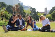 students working in a park