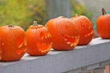 Halloween pumpkins craved