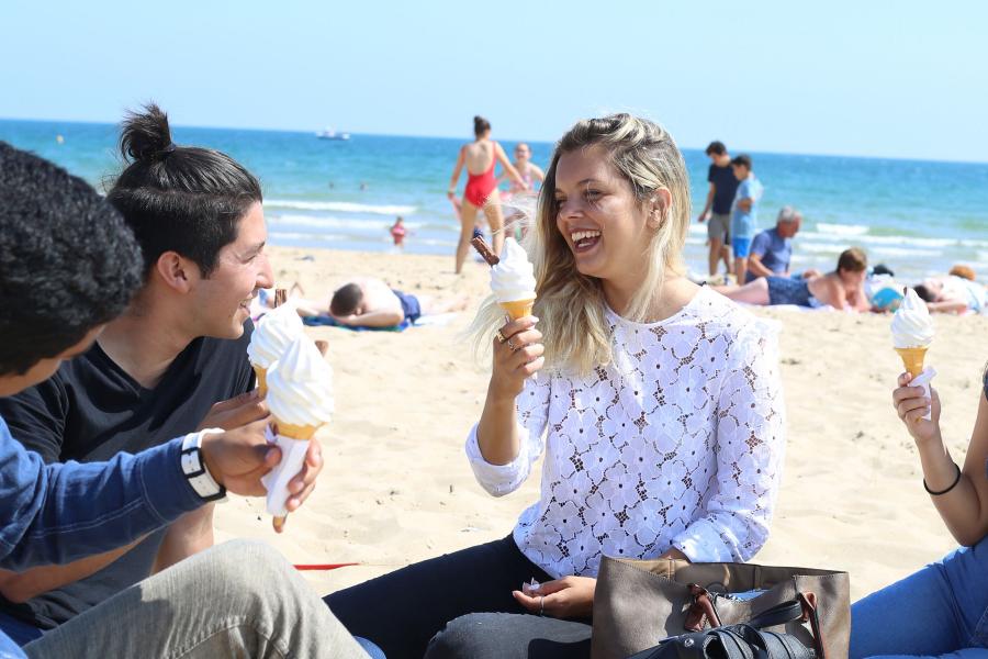 Bournemouth 30+, İngiltere — Kaplan Bournemouth 30+ kampüsü ve şehir kareleri 7/8
