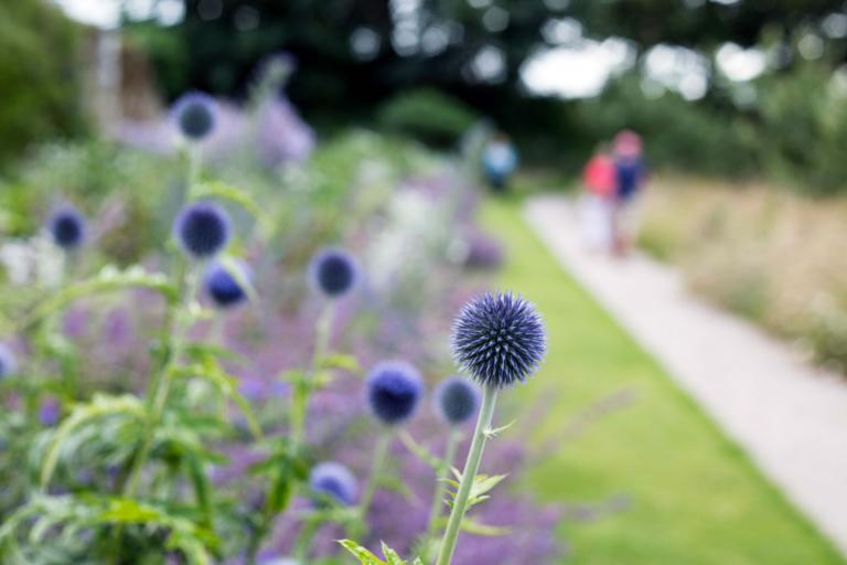 Kaplan social activities in Cambridge - Botanic Garden