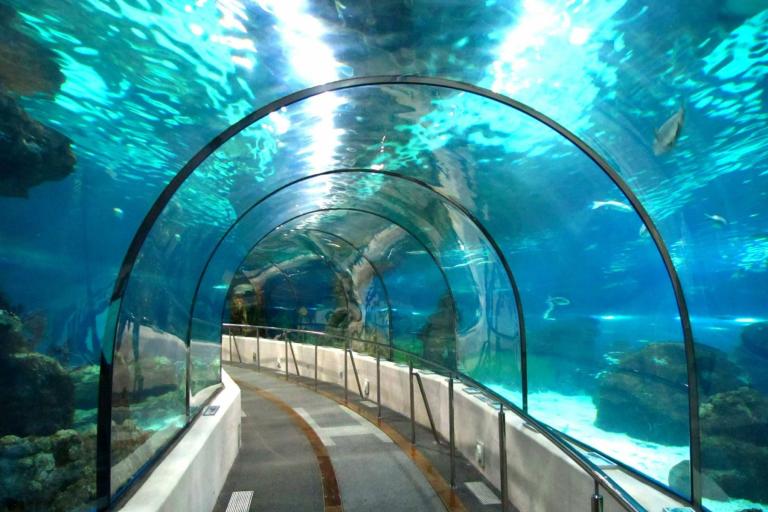 Kaplan social activities in Chicago - Aquarium