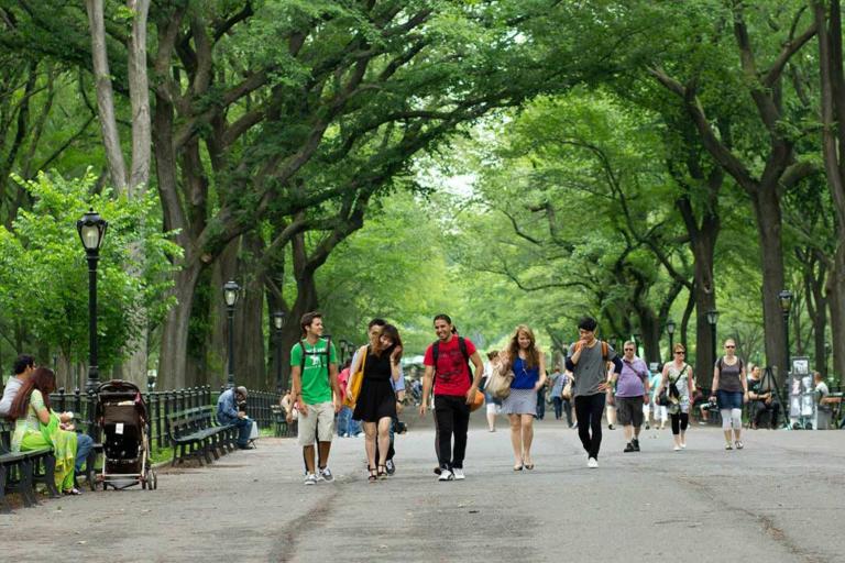 Kaplan social activities in New York - Central Park