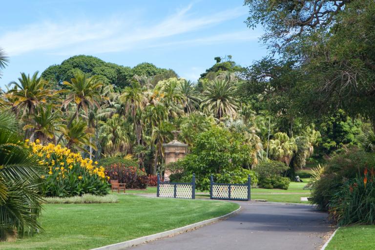 Kaplan social activities in Sydney - Botanic Garden