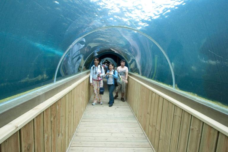 Kaplan social activities in Torquay - Marine Aquarium