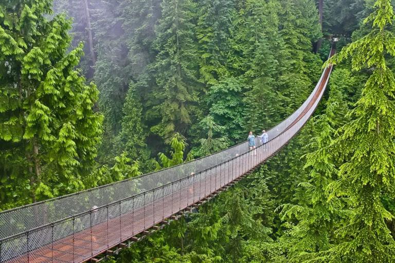 Kaplan social activities in Vancouver - Capilano Suspension Bridge Park