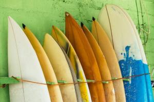 Dove studiare inglese e fare surf