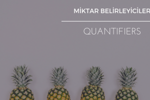 quantifiers miktar belirleyiciler