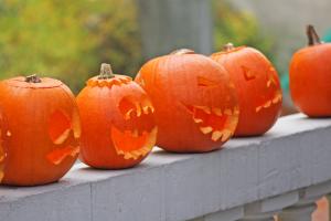 Halloween pumpkins craved