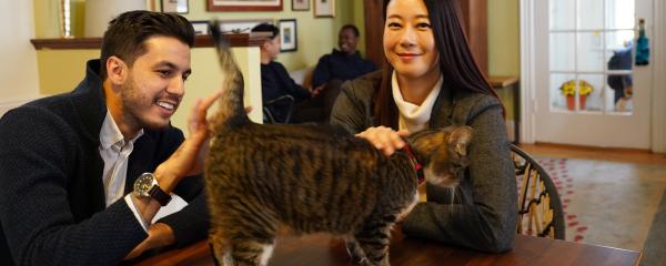 students playing with a cat