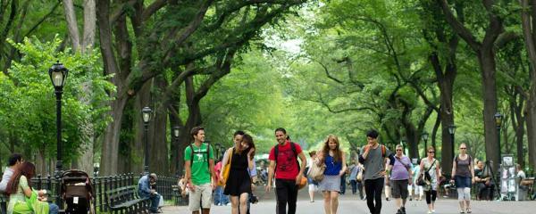 Kaplan social activities in New York - Central Park