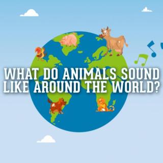 Animals sound