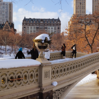 NY Winter