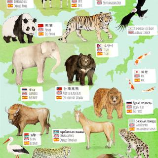 Animales del mundo
