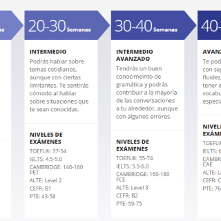 Así son nuestros cursos de inglés Semestre y Año Académico