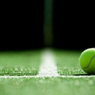 テニスをもっと楽しく観戦する方法